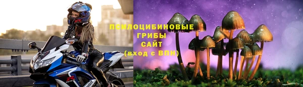 PSILOCYBIN Алексин