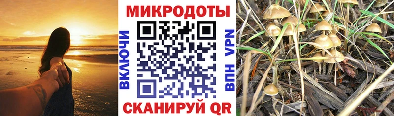 KRAKEN сайт Нижний Ломов Псилоцибиновые грибы GOLDEN TEACHER купить